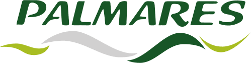 Expresso Palmares
